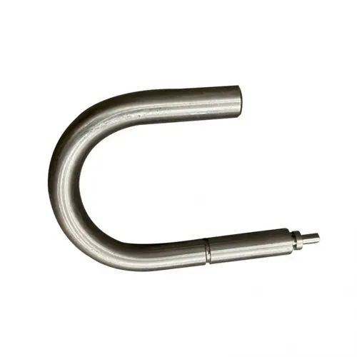 swiss-case-02